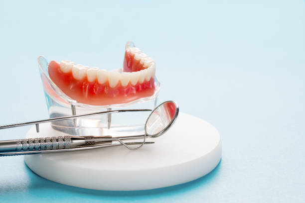 Best Veneers and Lumineers  in Timber Pines, FL